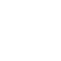 Special Item Cleaning Icon